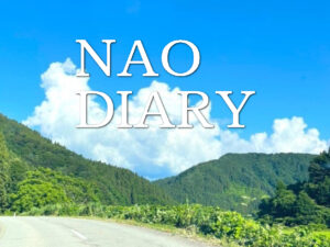 いー庄内ドットコム | NAO DIARY 想い出の日記