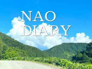 NAO DIARY