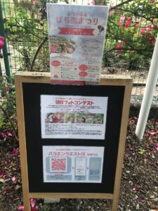 いー庄内ドットコム | 輝きは幸運！あつみ温泉バラ公園の光臨パワースポット 鶴岡市