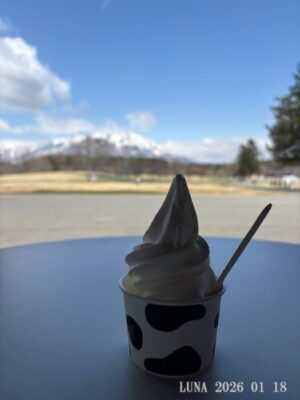 いー庄内ドットコム|絶景　花より団子