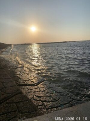 いー庄内ドットコム|感動、金色の夕映え