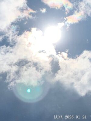 いー庄内ドットコム|感動、寒波の中の偉大なる太陽