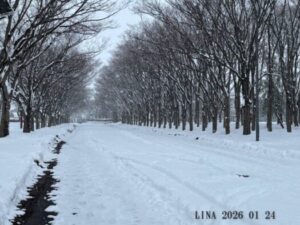 いー庄内ドットコム|心を整え、明日へ続くの道