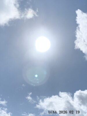 いー庄内ドットコム|輝かしい雪風