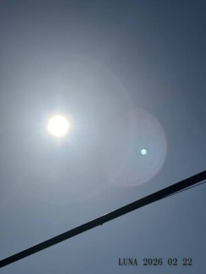 いー庄内ドットコム|輝かしい太陽の光にみちた朝