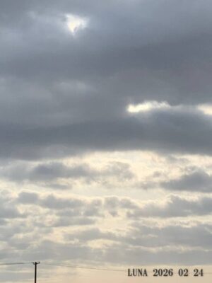 いー庄内ドットコム|心晴れる　涼風