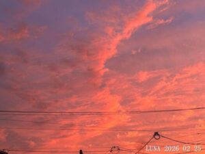 いー庄内ドットコム|癒やし淡紅色の夕映え