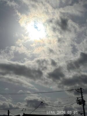 いー庄内ドットコム|太陽現る　今日から弥生