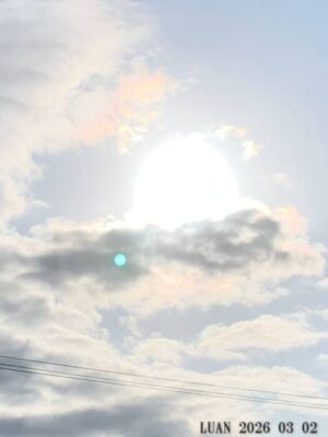 いー庄内ドットコム|心地よい　朝に舞う夕日