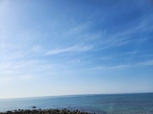 いー庄内ドットコム|暖かな春を感じながら 遠くまで足を運びたい