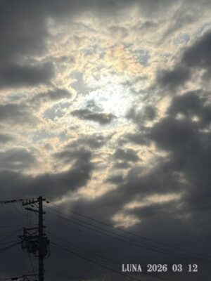 いー庄内ドットコム|感動　別れの季節