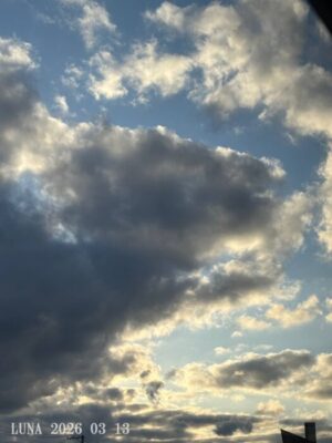 いー庄内ドットコム|輝かしい春色