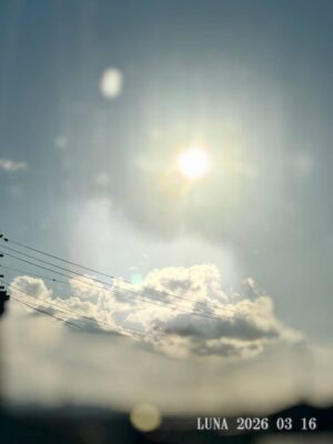 いー庄内ドットコム|輝かしい　春陽