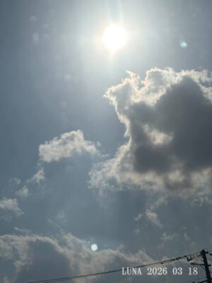 いー庄内ドットコム|感動　真夏日