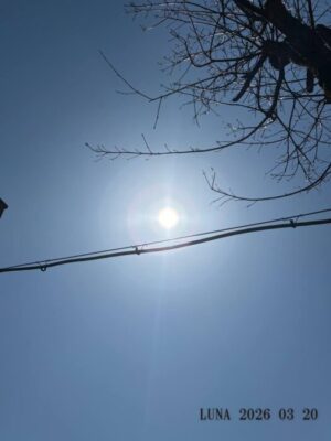 いー庄内ドットコム|感動的な麗らか